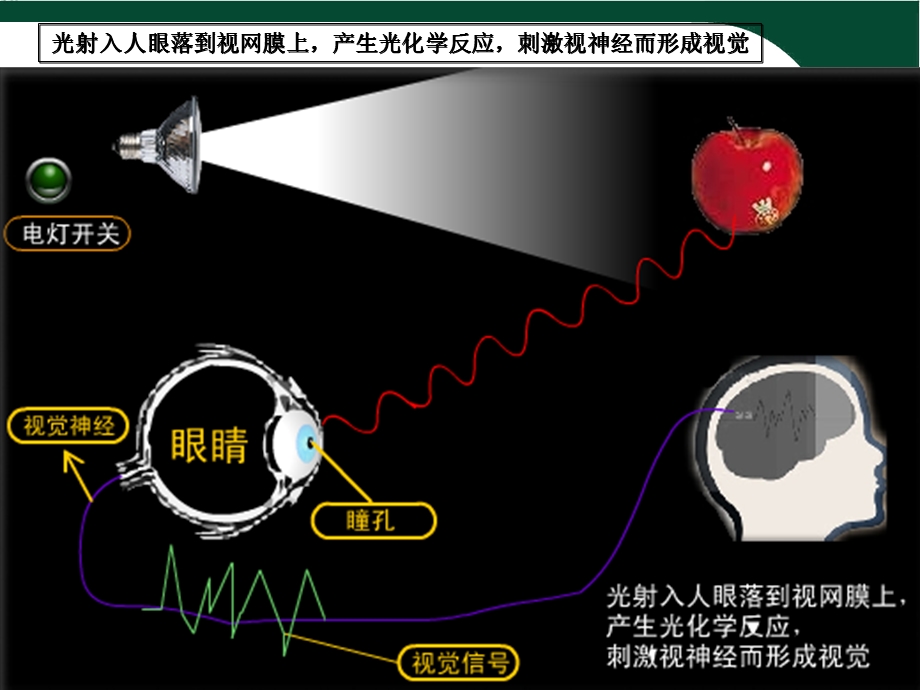 《照明光学基础》PPT课件.ppt_第3页