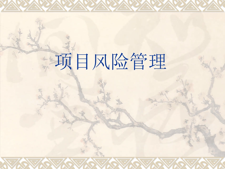 《项目风险管理》PPT课件.ppt_第1页