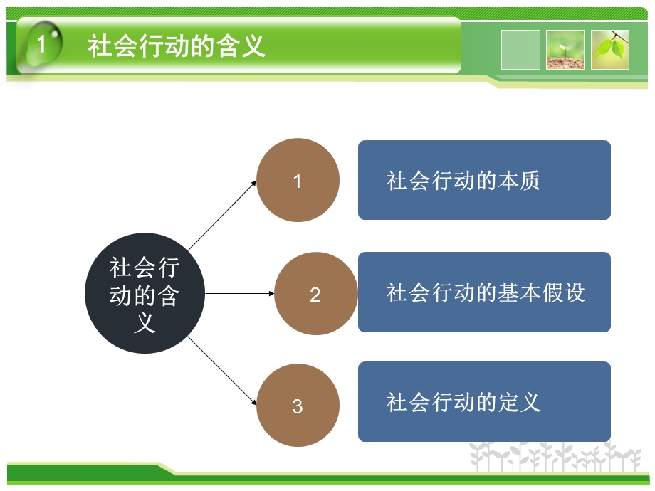 《社会行动模式》PPT课件.ppt_第3页