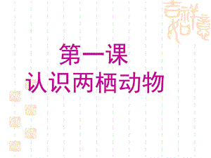 《认识两栖动物》PPT课件.ppt