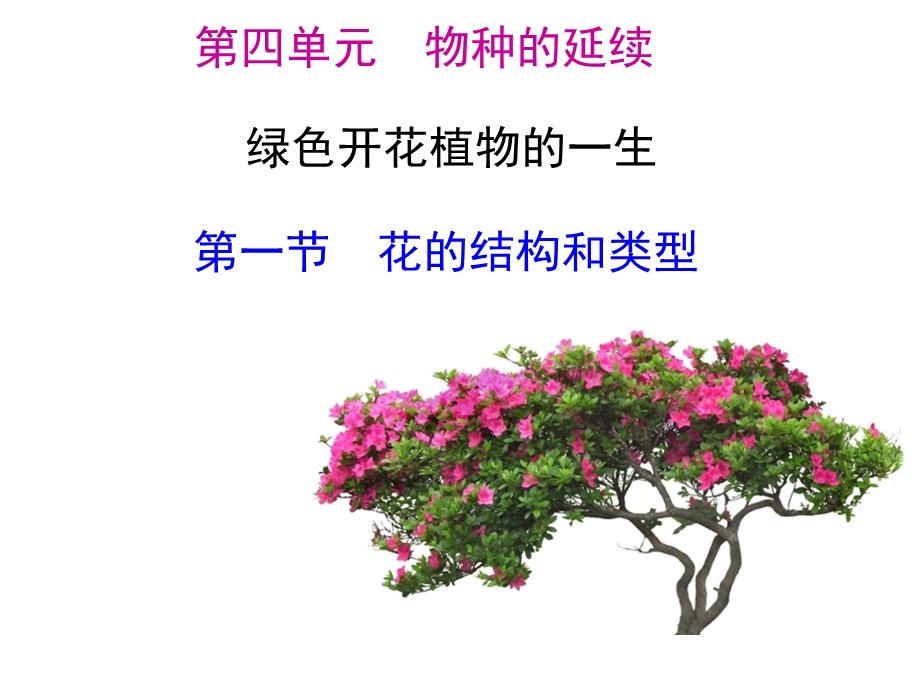 《花的结构和类型》PPT课件.ppt_第1页