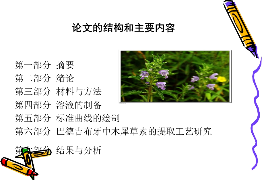 《图尔荪阿依斯力木》PPT课件.ppt_第2页