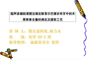 《图尔荪阿依斯力木》PPT课件.ppt