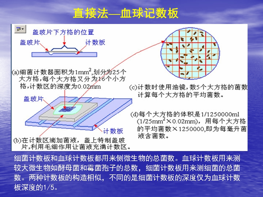 《细菌菌落计数》PPT课件.ppt_第3页