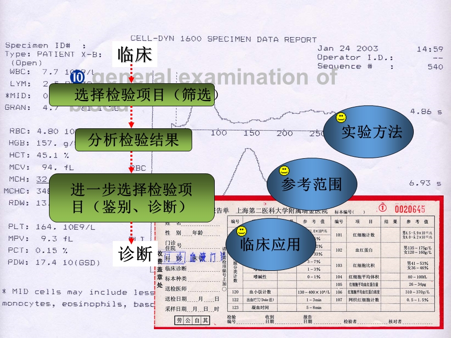 《血液一般检查》PPT课件.ppt_第2页