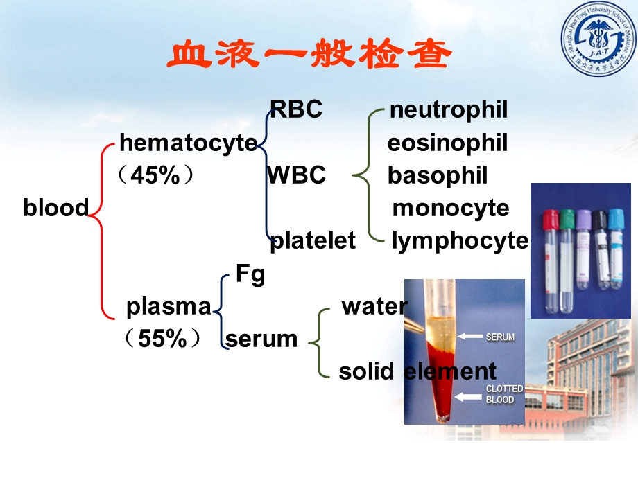 《血液一般检查》PPT课件.ppt_第3页