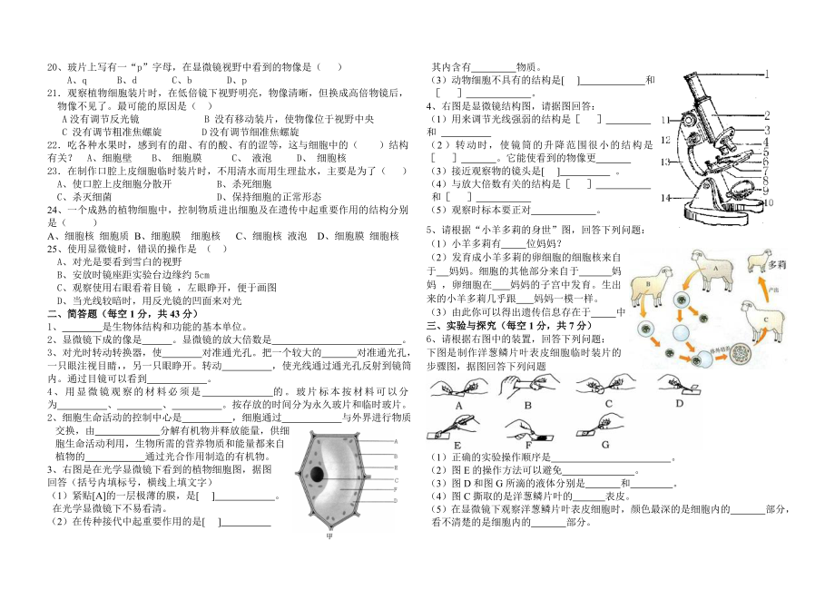 第二单元测试.doc_第2页