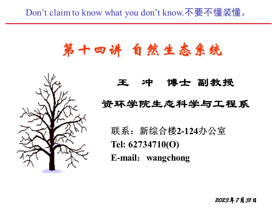 《自然生态系统》PPT课件.ppt_第1页