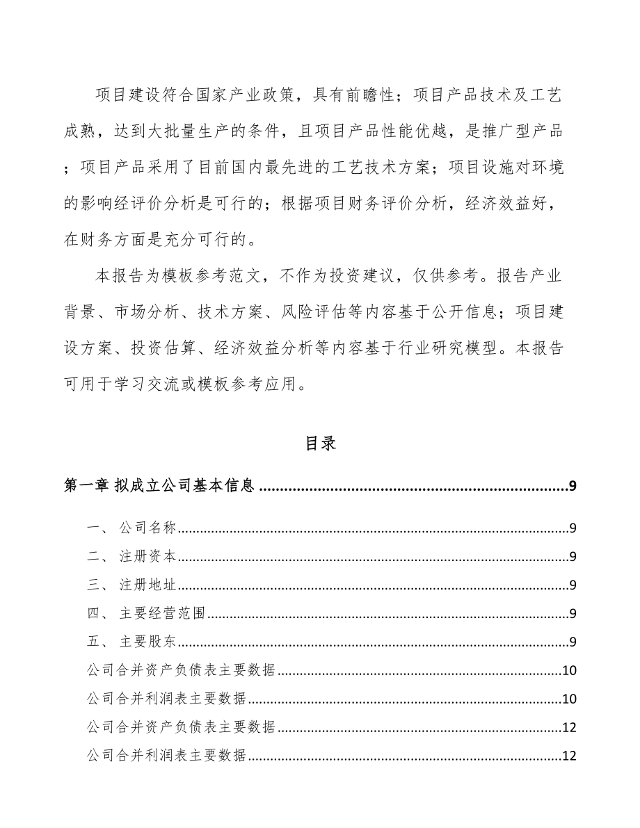 南宁关于成立游艺设备公司可行性研究报告.docx_第3页