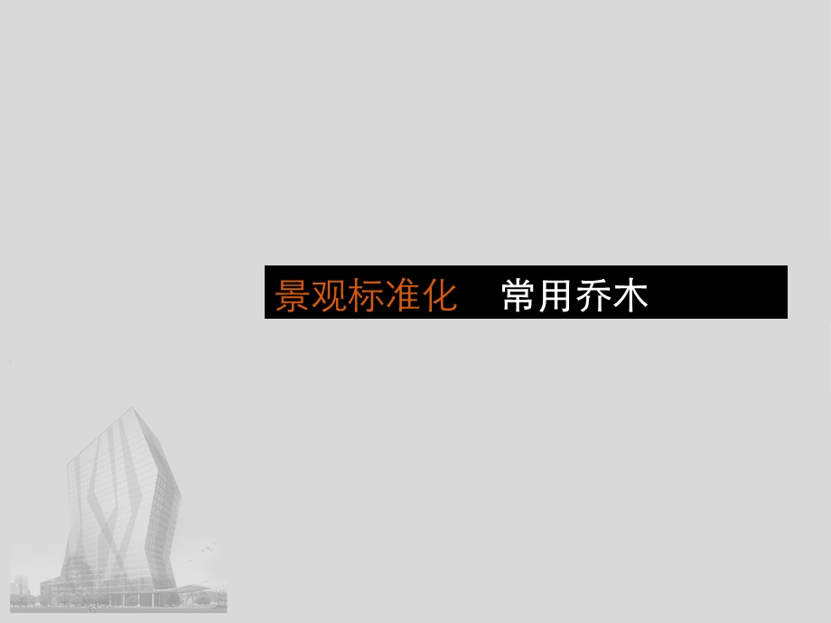 《昆明常用乔木》PPT课件.ppt_第2页