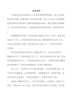 南宁水产饲料项目可行性研究报告.docx