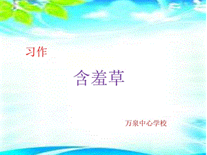 《含羞草观察》PPT课件.ppt