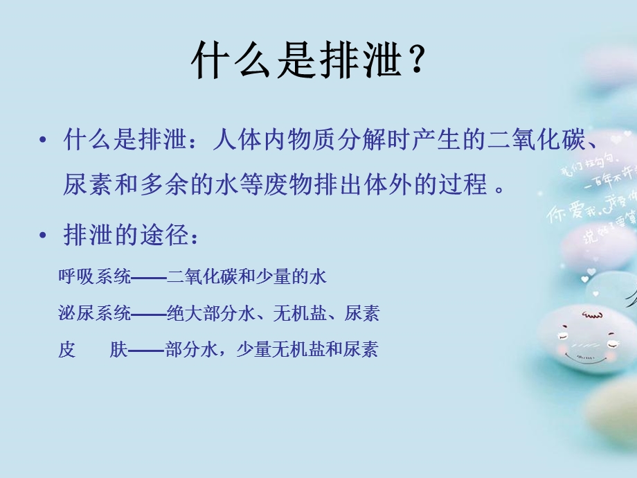 《排泄系统》PPT课件.ppt_第3页