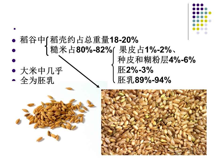 《粮油贮藏》PPT课件.ppt_第2页