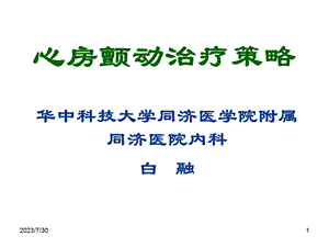 《心房颤动治疗策略》PPT课件.ppt