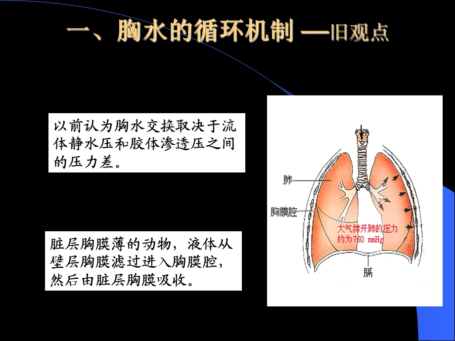 《结核性胸膜炎》PPT课件.ppt_第3页