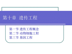 《遗传工程》PPT课件.ppt