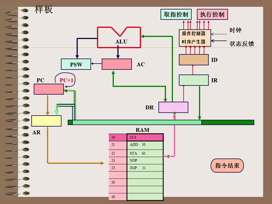 《萝卜家园样板》PPT课件.ppt_第1页