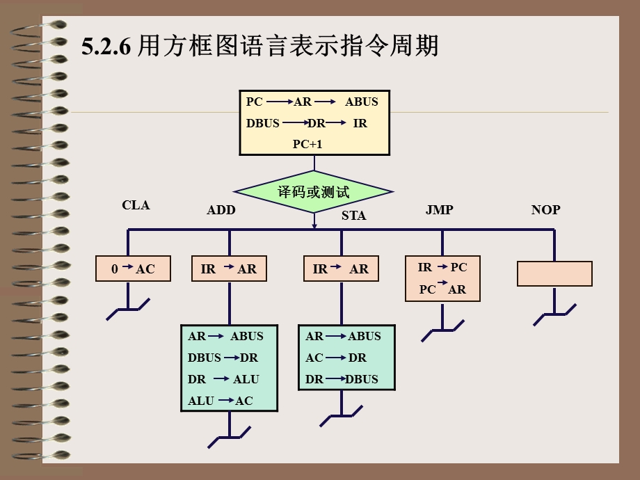 《萝卜家园样板》PPT课件.ppt_第2页