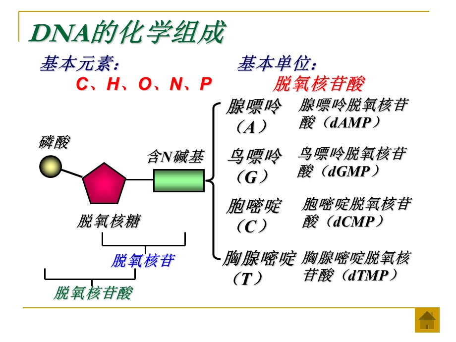 《遗传分子基础》PPT课件.ppt_第3页