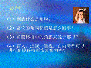 《角膜组织工程》PPT课件.ppt