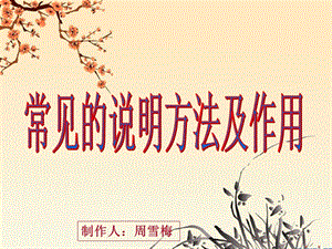 《说明方法微课》PPT课件.ppt