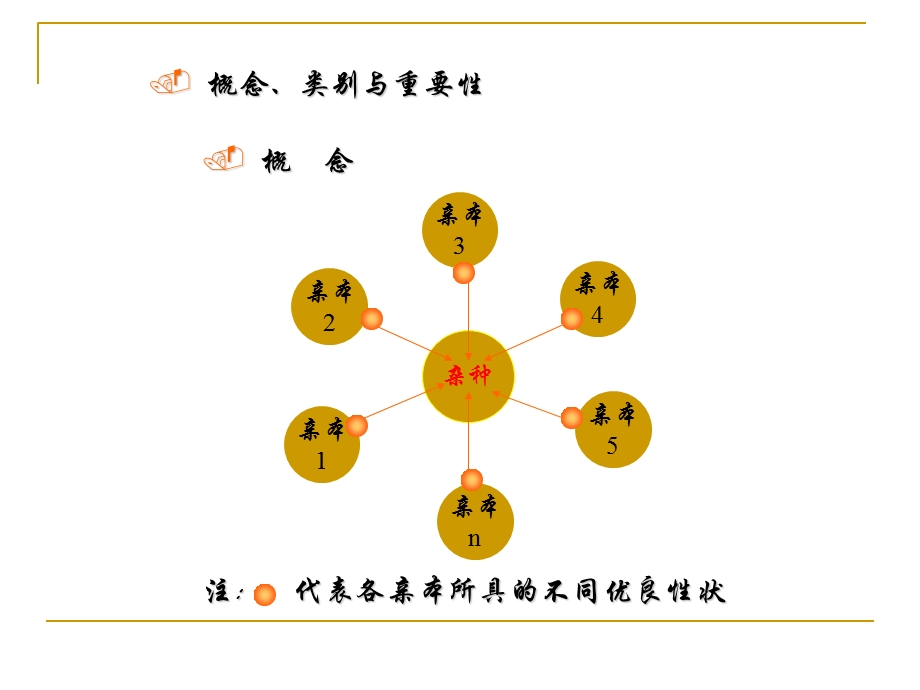 《有性杂交育种》PPT课件.ppt_第3页