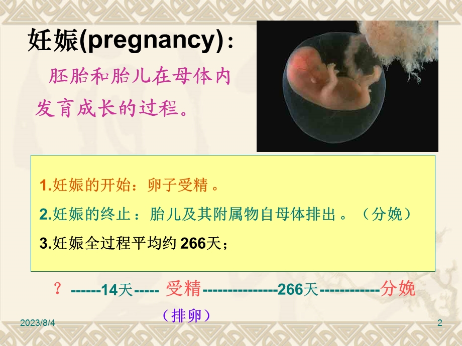 妊娠生理.ppt1111.ppt_第2页