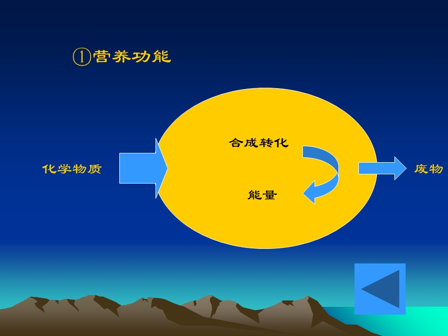 《微生物的细胞》PPT课件.ppt_第3页