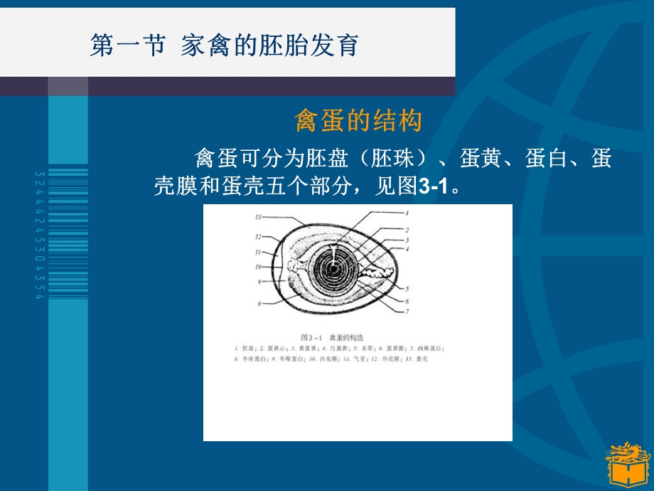 《孵化技术》PPT课件.ppt_第3页