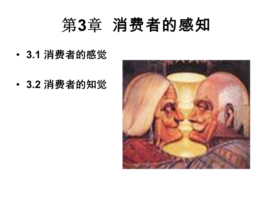 第3章消费者的感知.ppt_第1页