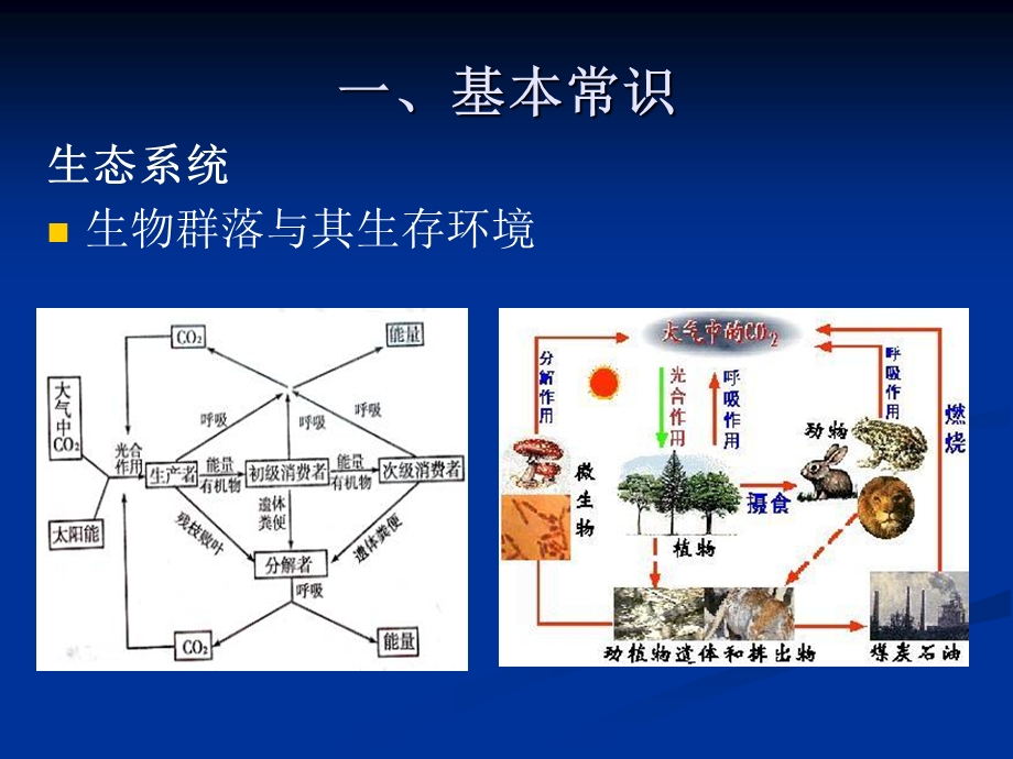 水产微生态.ppt_第3页