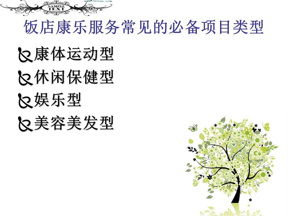 《康乐项目分析》PPT课件.ppt_第3页