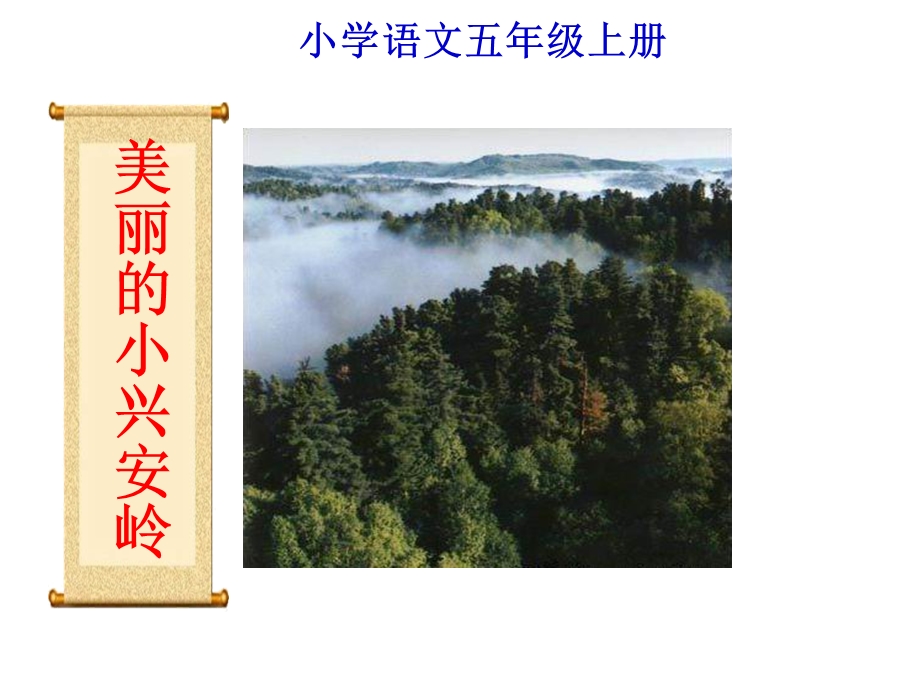 美丽的小兴岭.ppt_第1页