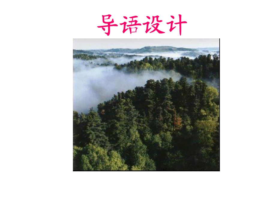 美丽的小兴岭.ppt_第3页