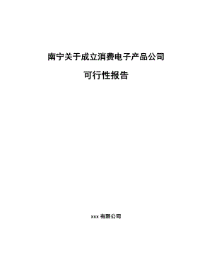 南宁关于成立消费电子产品公司可行性报告.docx