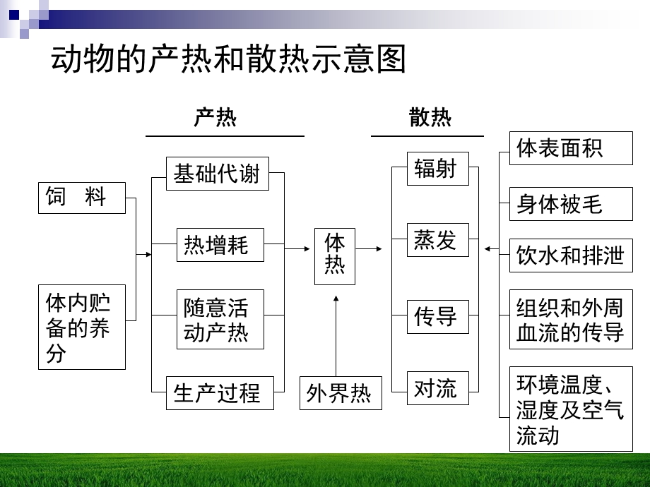 《营养与环境 》PPT课件.ppt_第3页