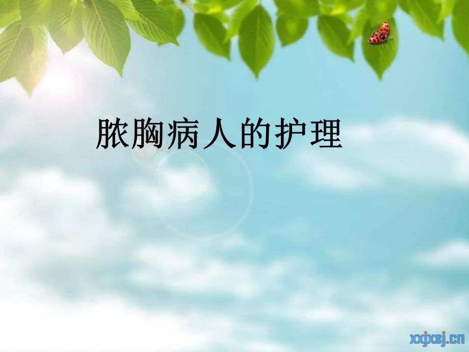 《脓胸病人的护理》PPT课件.ppt_第1页