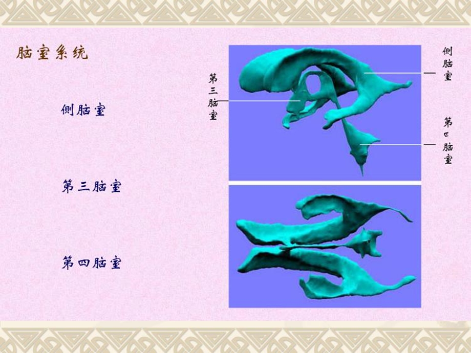 《脑室与脑池解剖》PPT课件.ppt_第2页