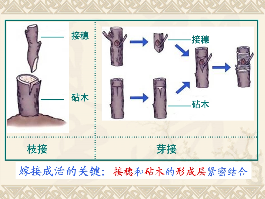 八下第七单元第一章、第八单元知识点配例题复习课件.ppt_第3页