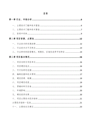 南宁医药中间体项目可行性研究报告.docx