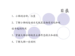 《小肠大肠》PPT课件.ppt