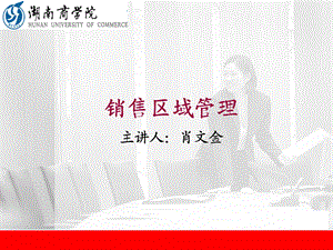 《销售区域管理》PPT课件.ppt