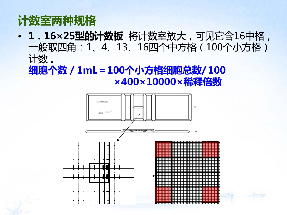 《血球计数板使用》PPT课件.ppt_第3页