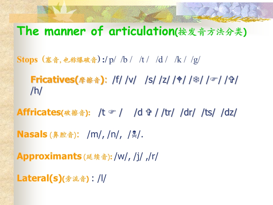 《辅音正音》PPT课件.ppt_第2页