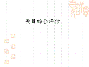 《项目综合评估》PPT课件.ppt