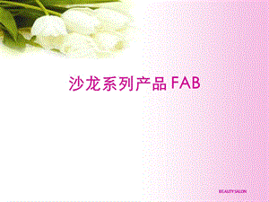 沙龙系列产品FAB.ppt