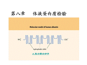 《血清蛋白质测定》PPT课件.ppt