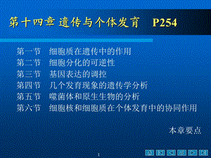 《遗传与个体发育》PPT课件.ppt