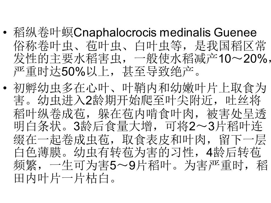 《水稻常见病害》PPT课件.ppt_第1页